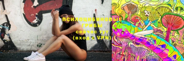 мет Богданович