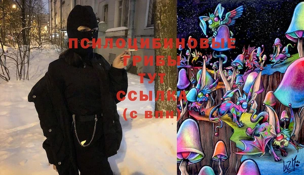 мет Богданович