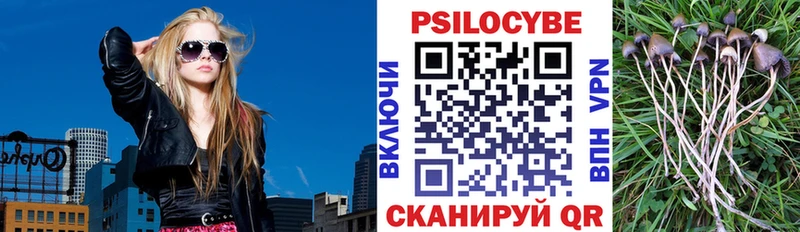 Галлюциногенные грибы мицелий  Дрезна 